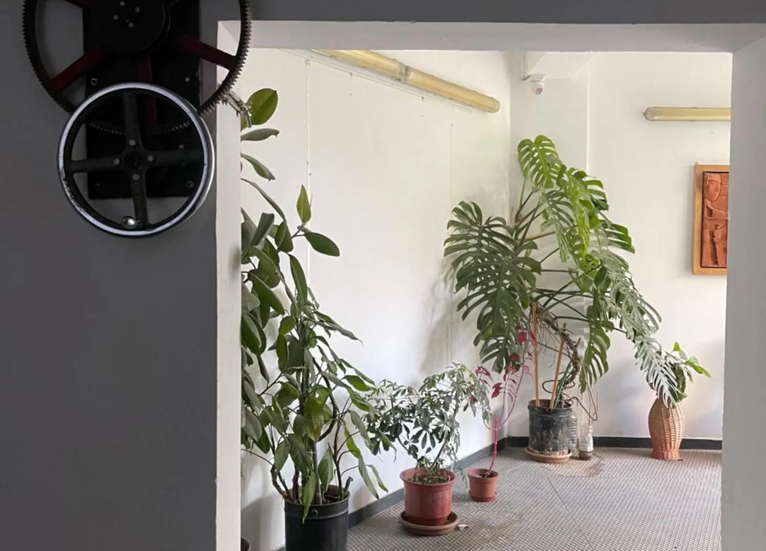 Flex Apartment Tirana